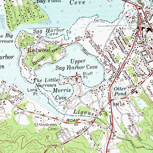 Topographic Map of Bluff Point, NY