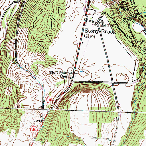 Topographic Map of Bluff Point Cemetery, NY