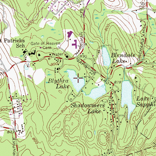 Topographic Map of Blythea Lake, NY