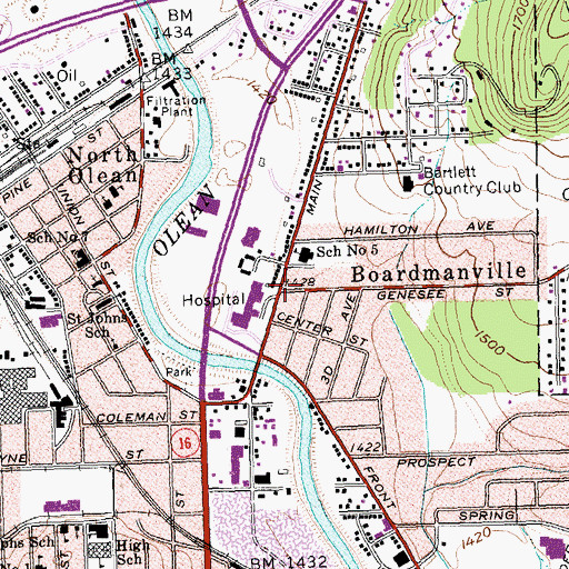 Topographic Map of Boardmanville, NY