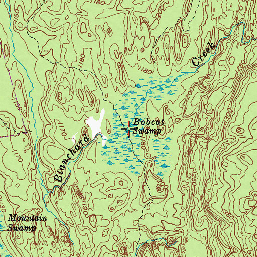 Topographic Map of Bobcat Swamp, NY