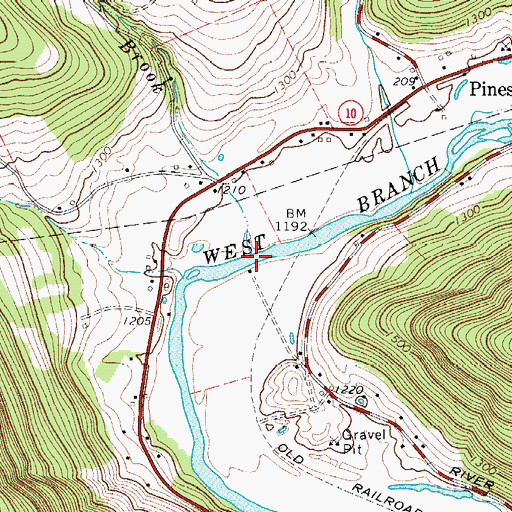 Topographic Map of Bobs Brook, NY