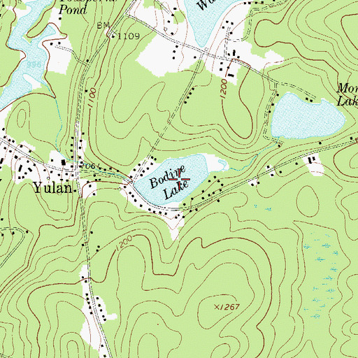 Topographic Map of Bodine Lake, NY