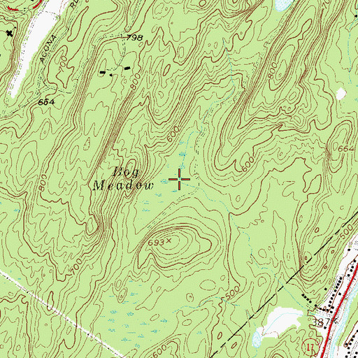 Topographic Map of Bog Meadow, NY