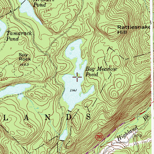 Topographic Map of Bog Meadow Pond, NY