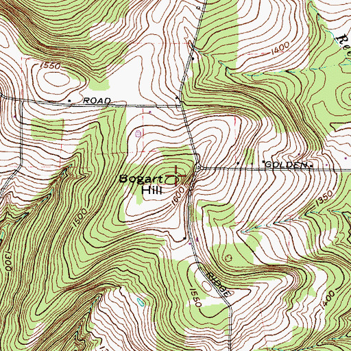 Topographic Map of Bogart Hill, NY