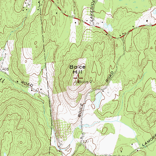 Topographic Map of Boice Hill, NY