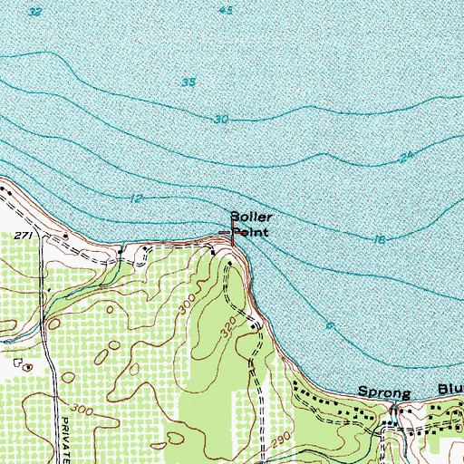 Topographic Map of Boller Point, NY