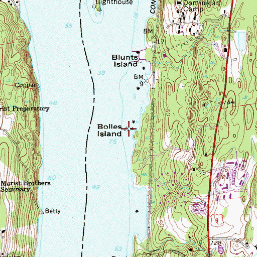 Topographic Map of Bolles Island, NY