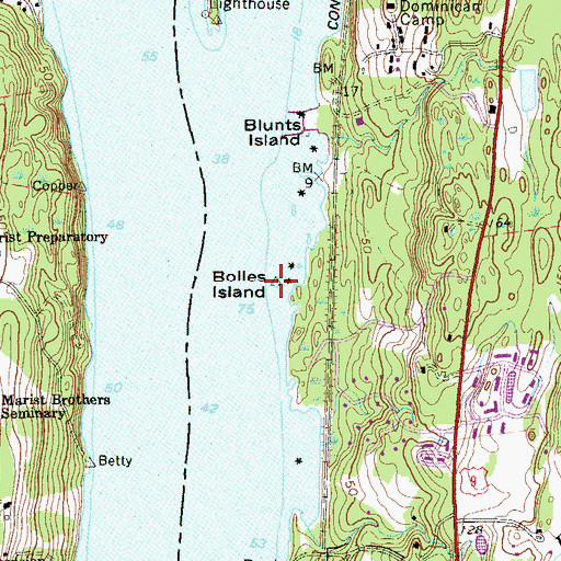 Topographic Map of Bolles Island, NY