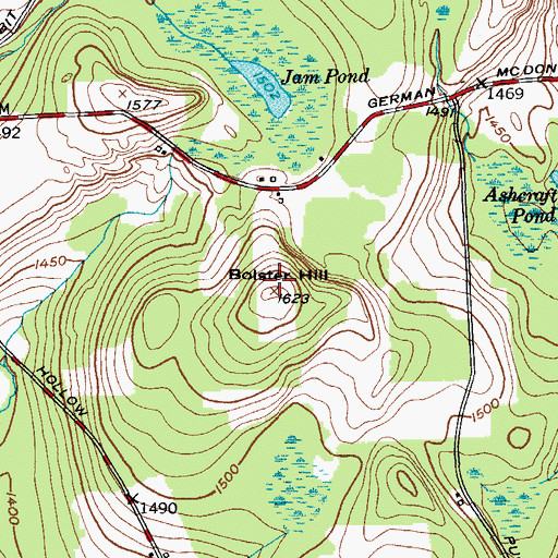 Topographic Map of Bolster Hill, NY