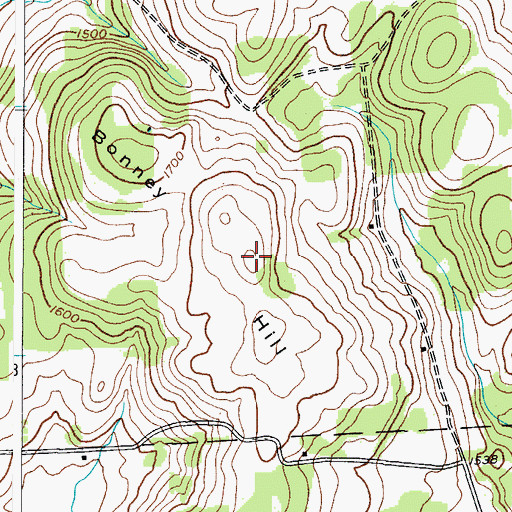 Topographic Map of Bonney Hill, NY