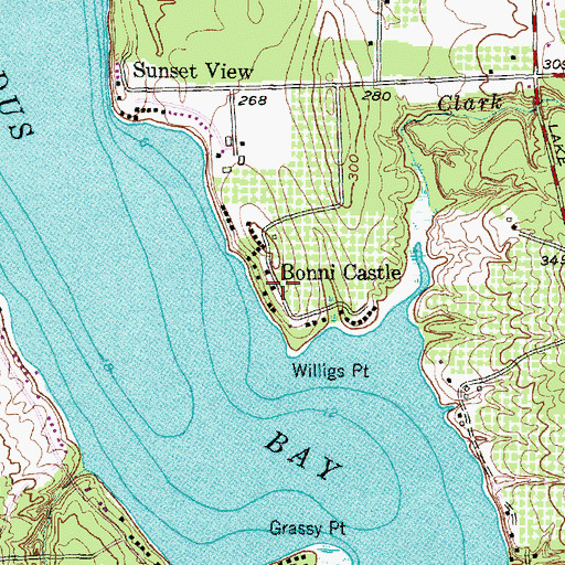 Topographic Map of Bonni Castle, NY