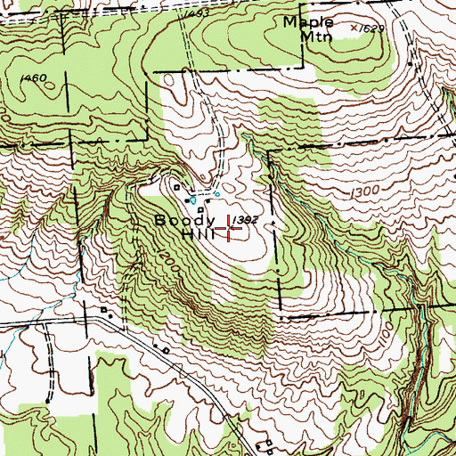 Topographic Map of Boody Hill, NY