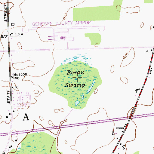 Topographic Map of Borau Swamp, NY
