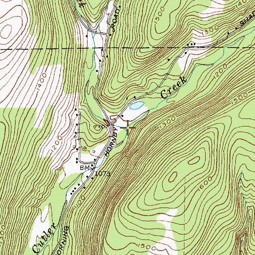 Topographic Map of Borden Creek, NY
