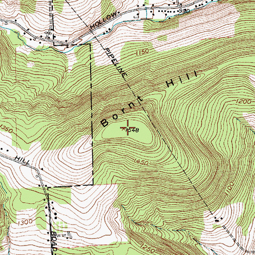 Topographic Map of Bornt Hill, NY