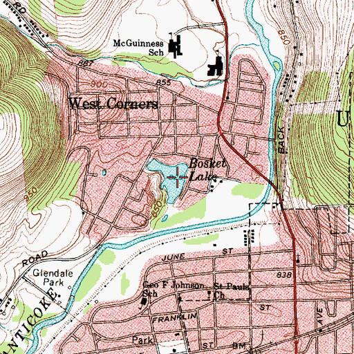 Topographic Map of Bosket Lake, NY