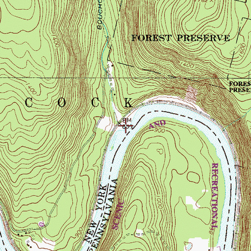 Topographic Map of Bouchoux Brook, NY