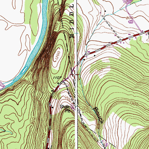 Topographic Map of Bouck Hollow, NY