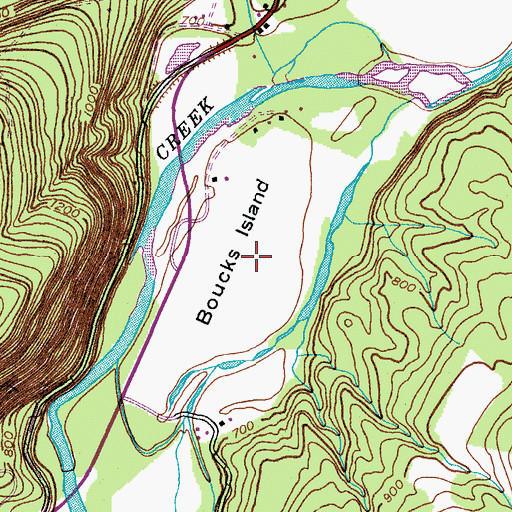 Topographic Map of Boucks Island, NY