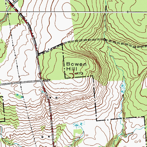 Topographic Map of Bowen Hill, NY