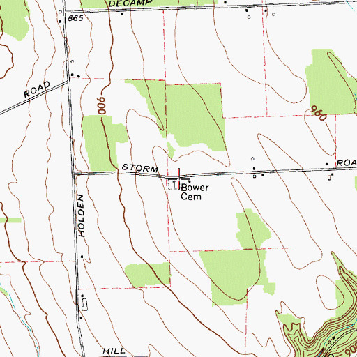 Topographic Map of Bower Cemetery, NY