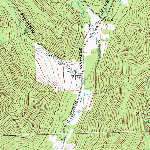 Topographic Map of Bowers Hollow, NY
