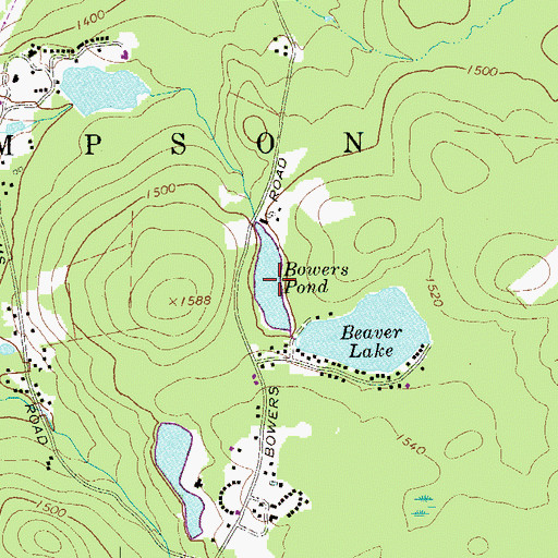 Topographic Map of Bowers Pond, NY