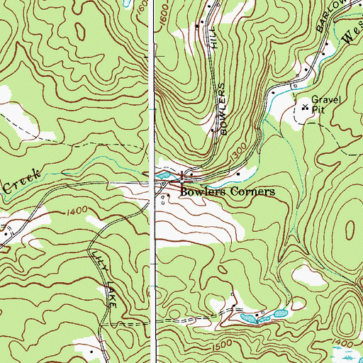 Topographic Map of Bowlers Corners, NY
