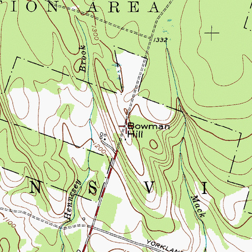 Topographic Map of Bowman Hill, NY
