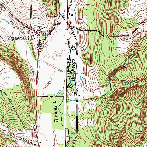Topographic Map of Boyer Creek, NY