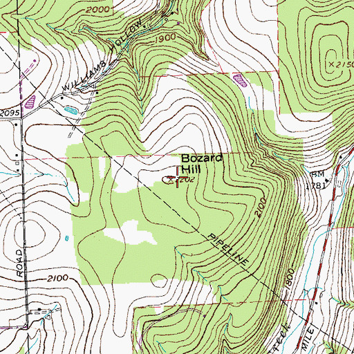 Topographic Map of Bozard Hill, NY
