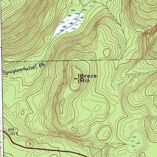 Topographic Map of Brace Hill, NY