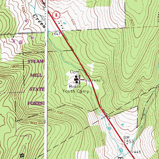 Topographic Map of Brace Youth Camp, NY