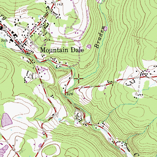 Topographic Map of Braden Brook, NY