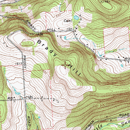 Topographic Map of Brady Hill, NY