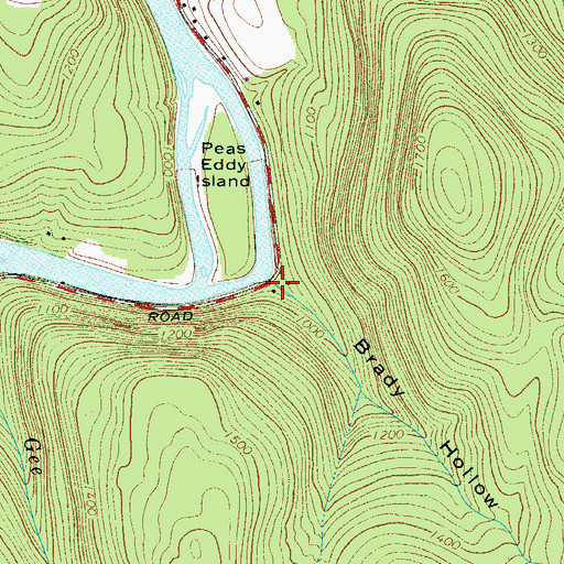 Topographic Map of Brady Hollow, NY