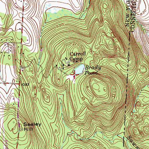 Topographic Map of Brady Pond, NY