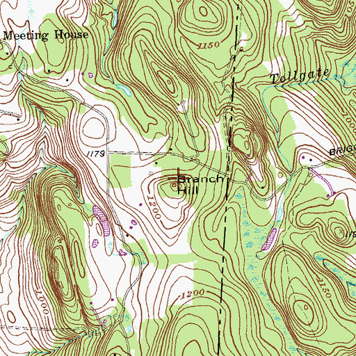 Topographic Map of Branch Hill, NY