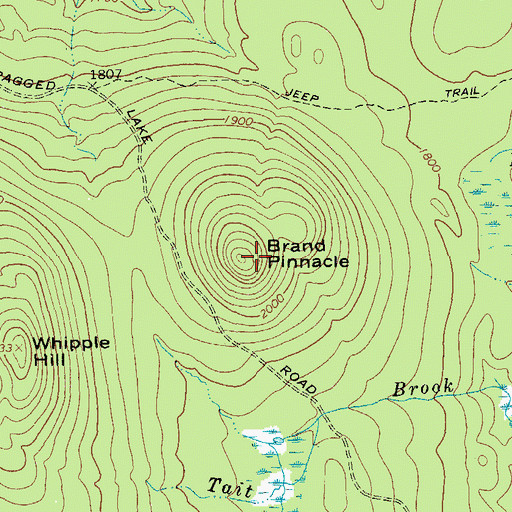 Topographic Map of Brand Pinnacle, NY