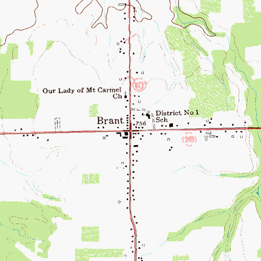 Topographic Map of Brant, NY
