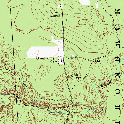 Topographic Map of Brantingham Cemetery, NY
