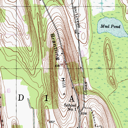 Topographic Map of Brantling Hill, NY