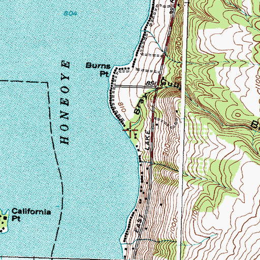 Topographic Map of Bray Gully, NY