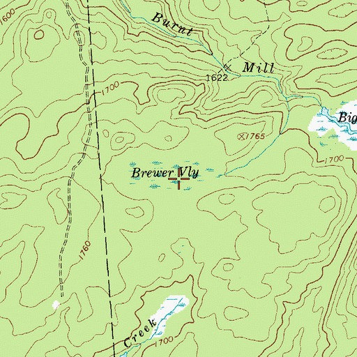 Topographic Map of Brewer Vly, NY