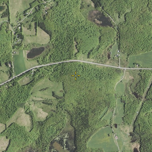 Aerial/Satellite Image of Briar Hill, NY