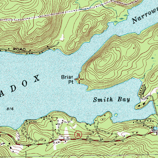 Topographic Map of Briar Point, NY