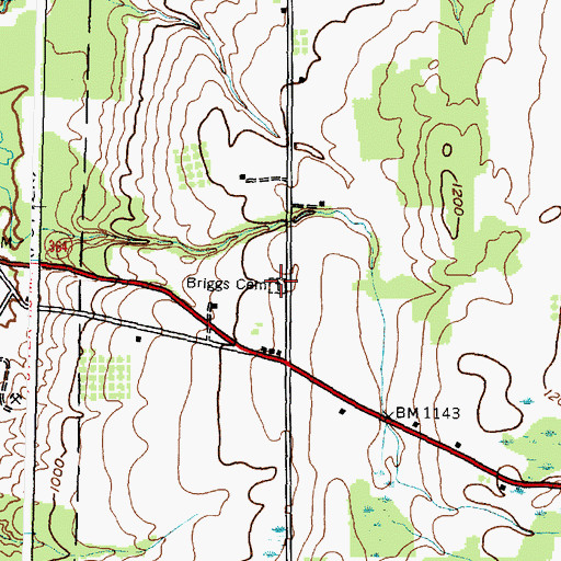 Topographic Map of Briggs Cemetery, NY