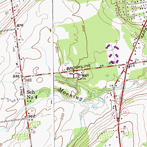 Topographic Map of Briggs Cemetery, NY